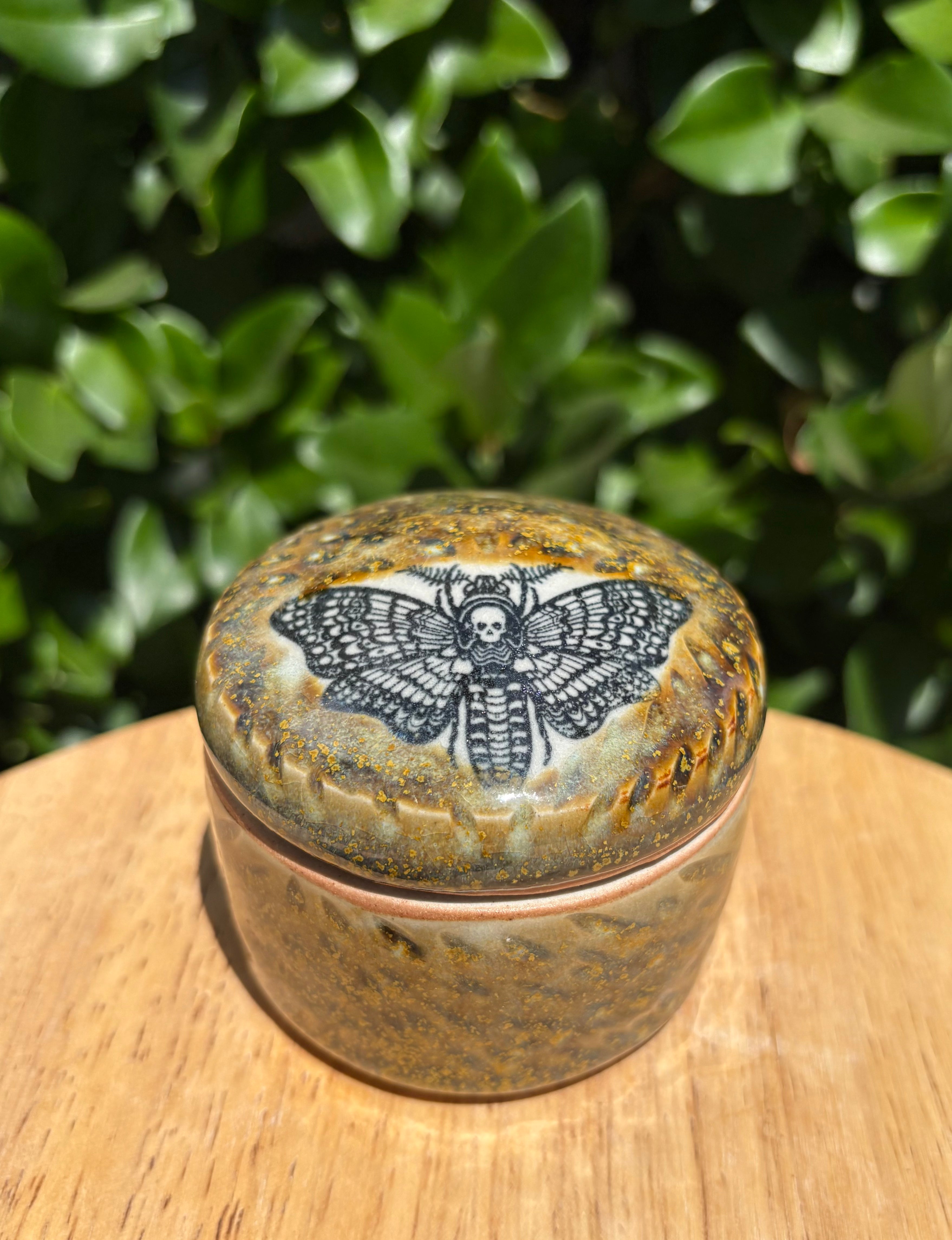 Death's-head Hawkmoth Lidded Jar