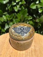 Load image into Gallery viewer, Death&#39;s-head Hawkmoth Lidded Jar
