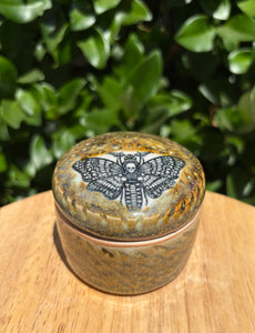 Death's-head Hawkmoth Lidded Jar