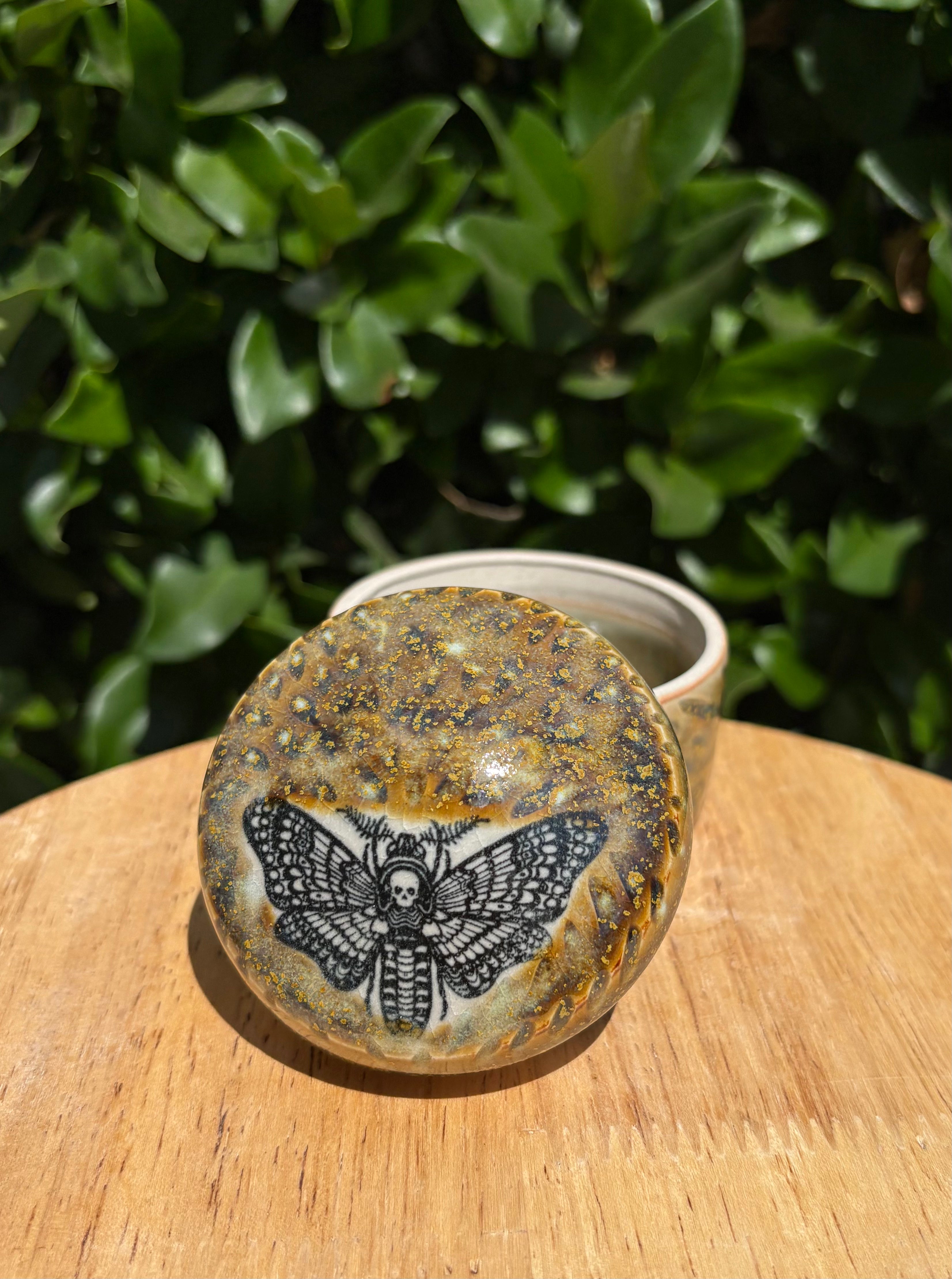 Death's-head Hawkmoth Lidded Jar