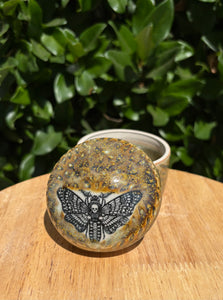 Death's-head Hawkmoth Lidded Jar