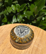 Load image into Gallery viewer, Deer Skull Apothecary Lidded Jar - sm
